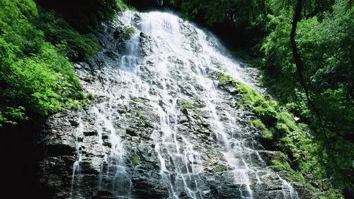 高效环保